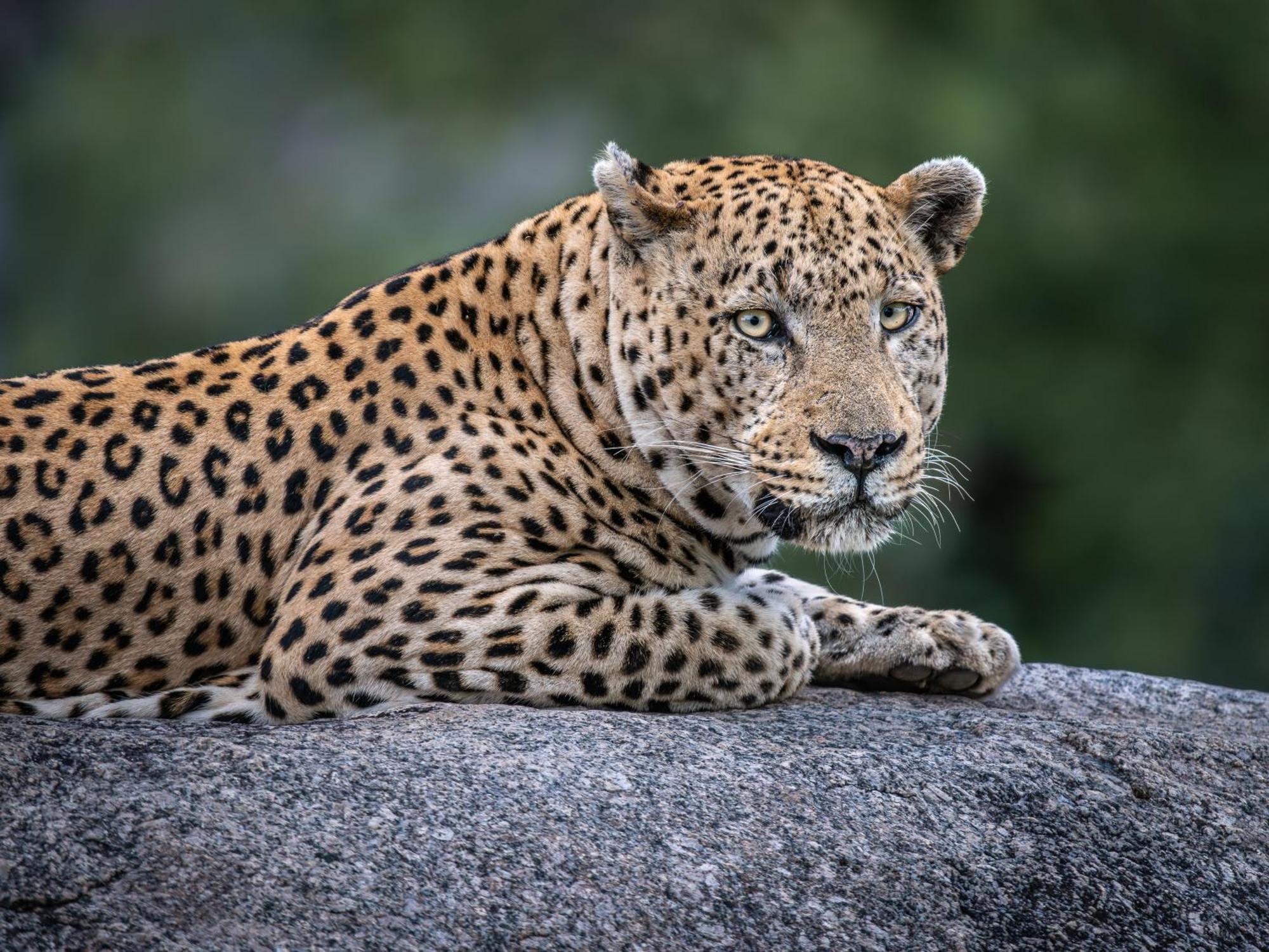 Nyati Safari Lodge Hoedspruit Eksteriør bilde
